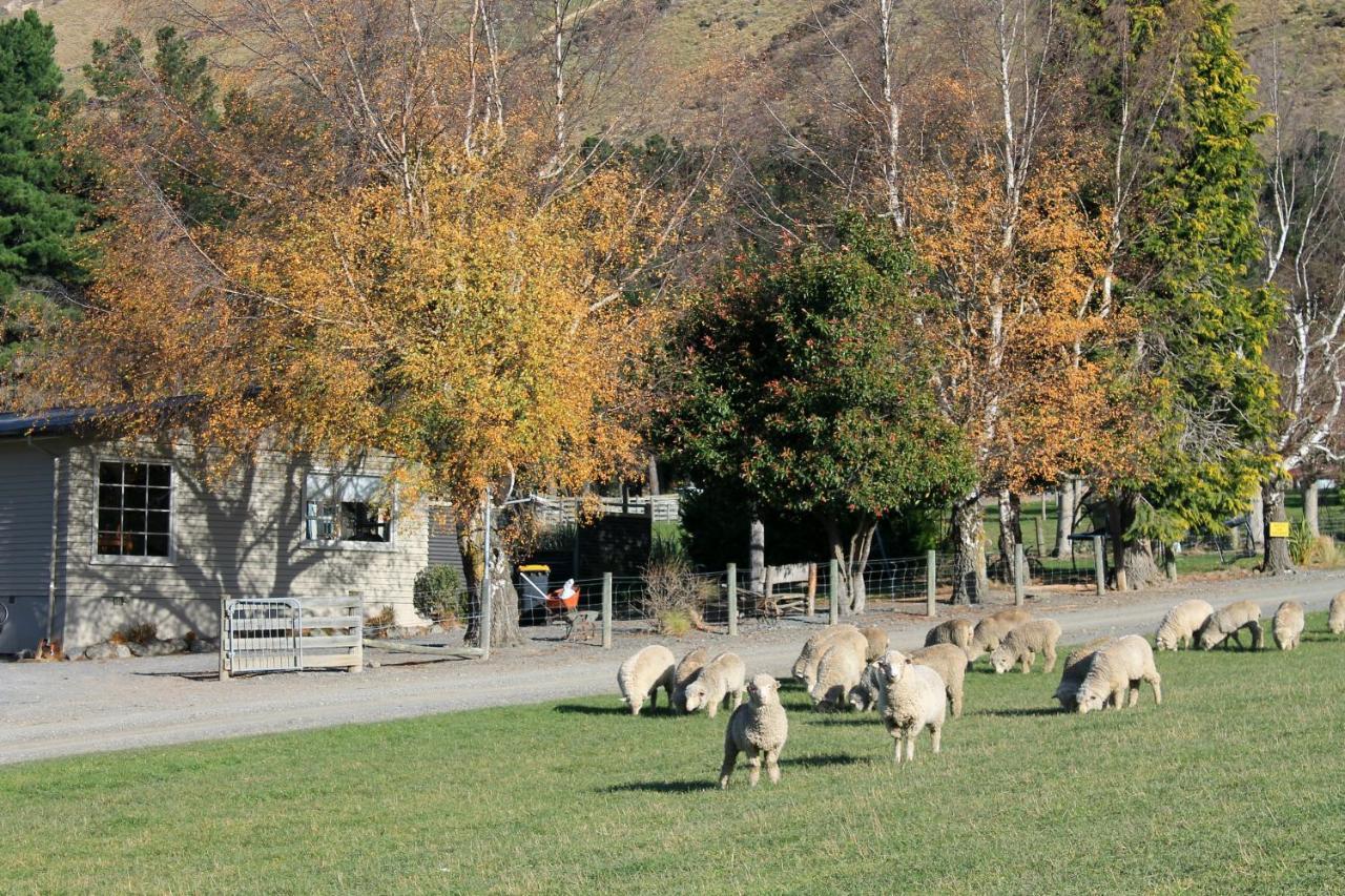 Bauchops Hill Station Farmstay Burkes Pass Exterior photo