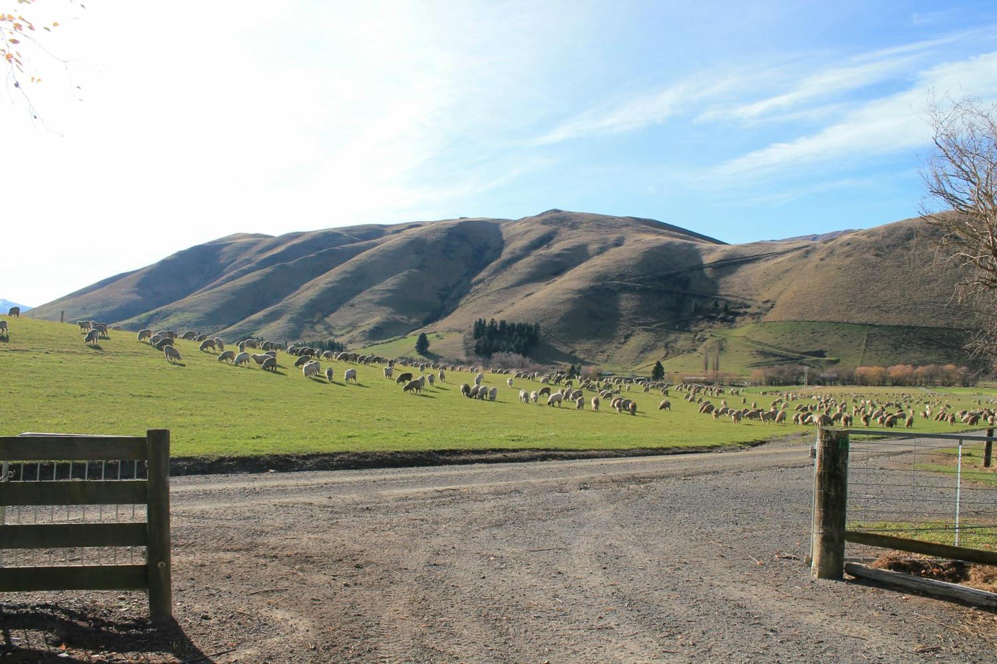 Bauchops Hill Station Farmstay Burkes Pass Exterior photo