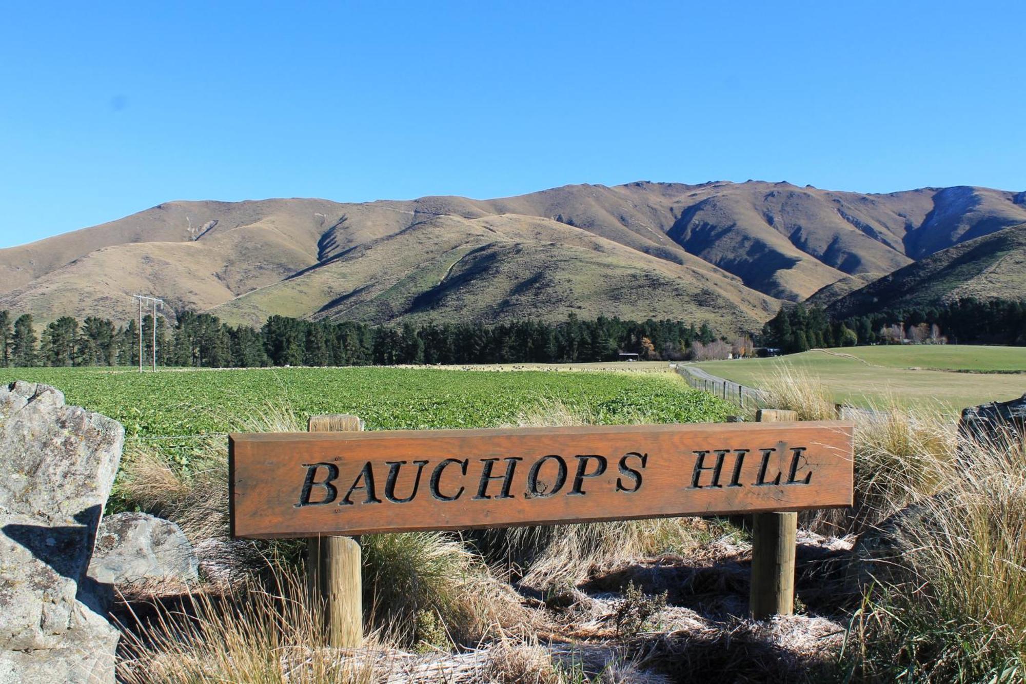 Bauchops Hill Station Farmstay Burkes Pass Exterior photo